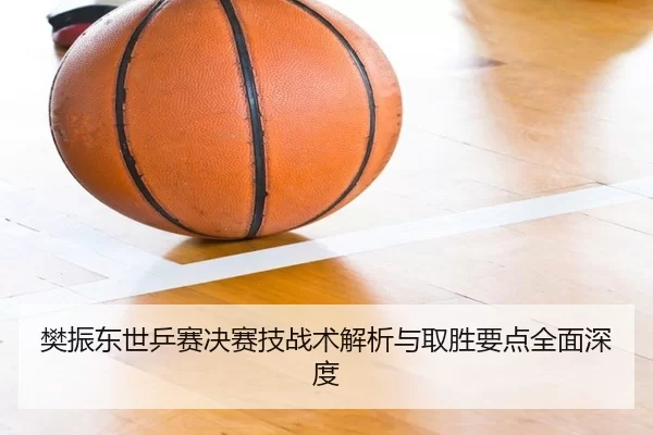 樊振东世乒赛决赛技战术解析与取胜要点全面深度（KAIYUN）